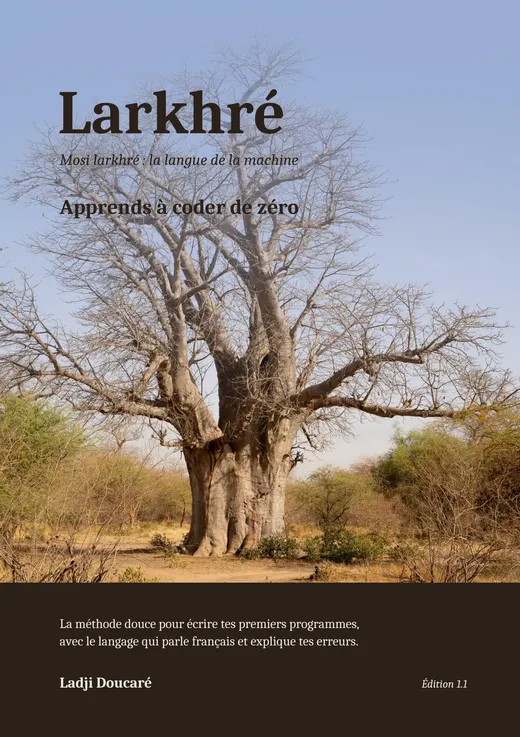 Couverture du livre : Larkhré, apprends à coder de zéro, avec un baobab au bout d'un chemin de sable